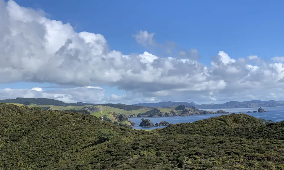 Mahinepua Peninsula Track, Northland
