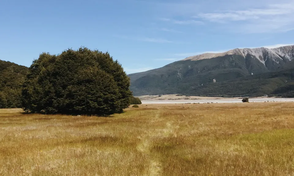 Avalanche Peak - Crow River, Canterbury