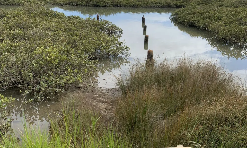 Around the Outside at Te Atatu, Auckland