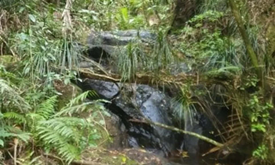 Eliza Mine Climb, Bay of Plenty