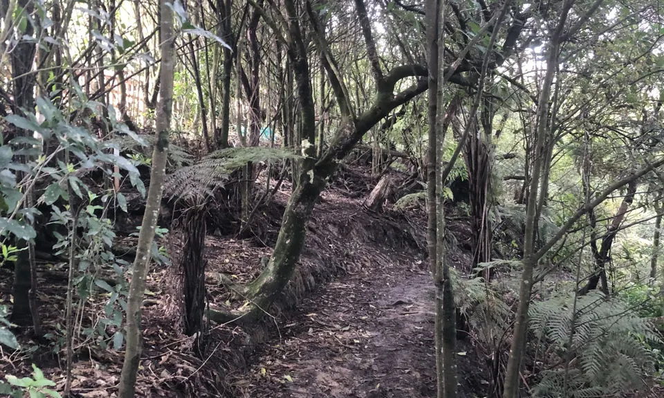 Eskdale Outer Loopypop, Auckland