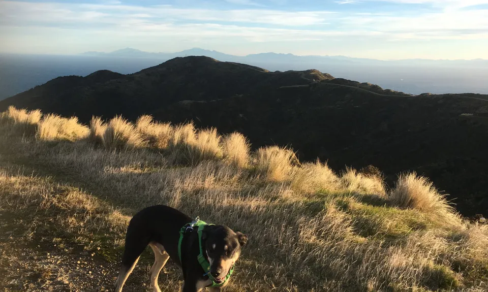 Aro Valley - Red Rocks Thigh Buster, Wellington