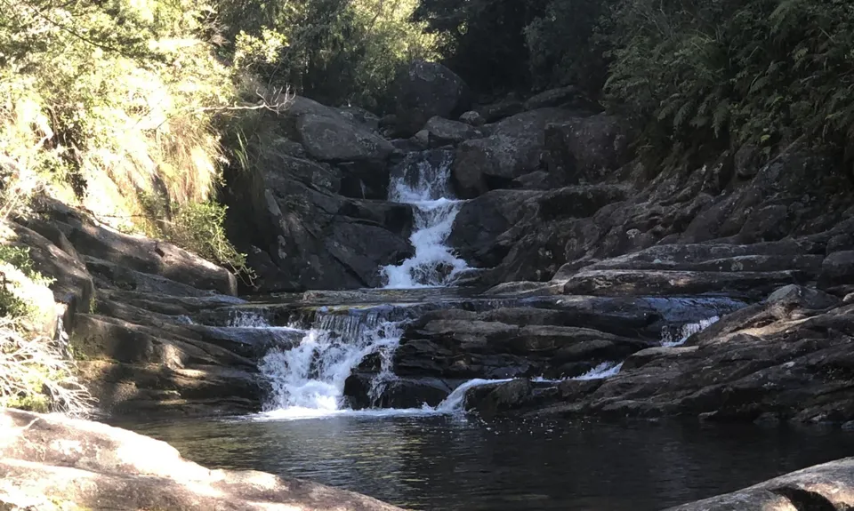 Aongatete Loop, Bay of Plenty