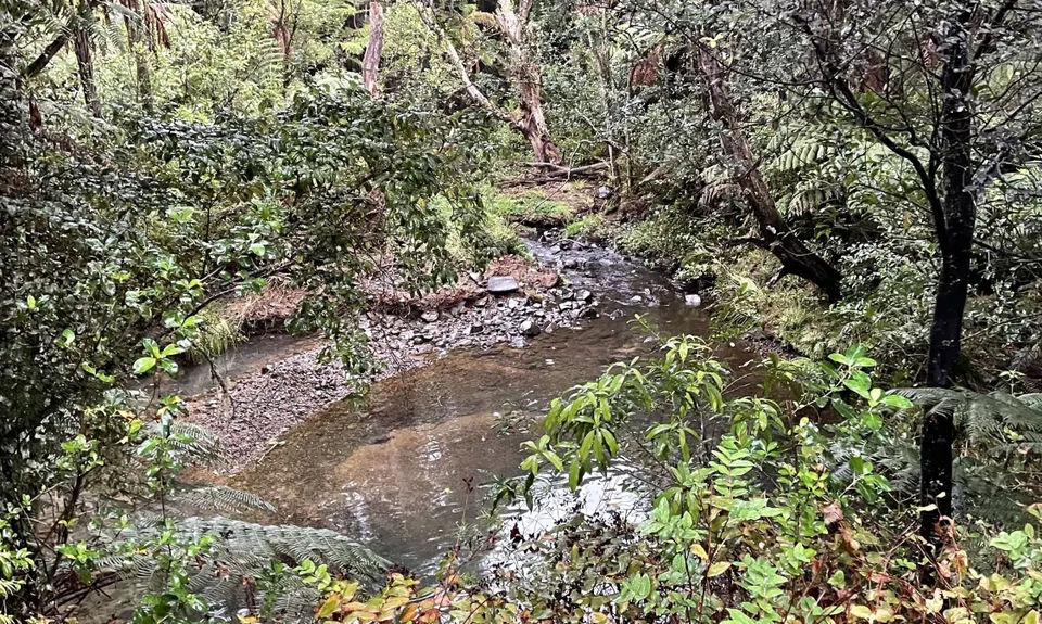 Hunua Hustle, Auckland