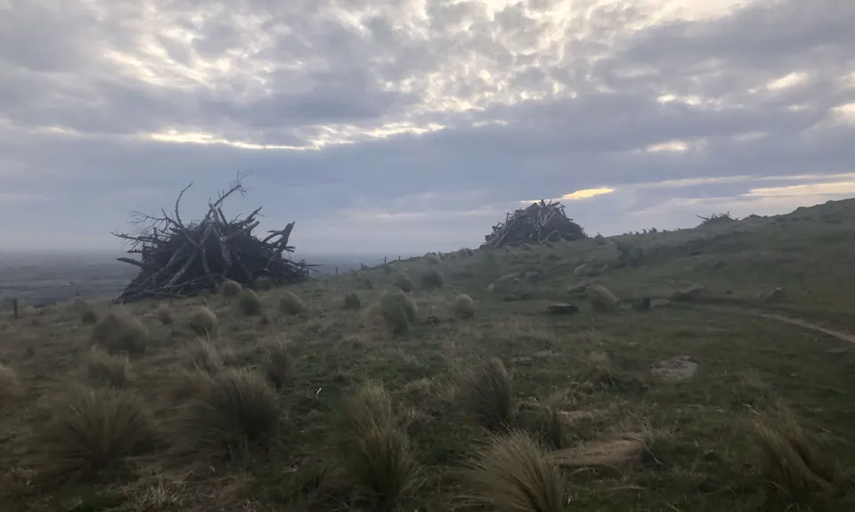 Loopy in Siberia, Canterbury