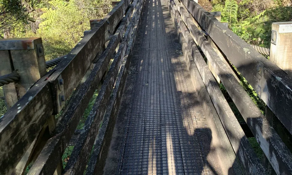 Suspension Bridge Track , Auckland