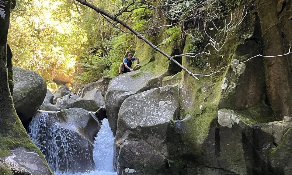 Aongatete River Run, Bay of Plenty