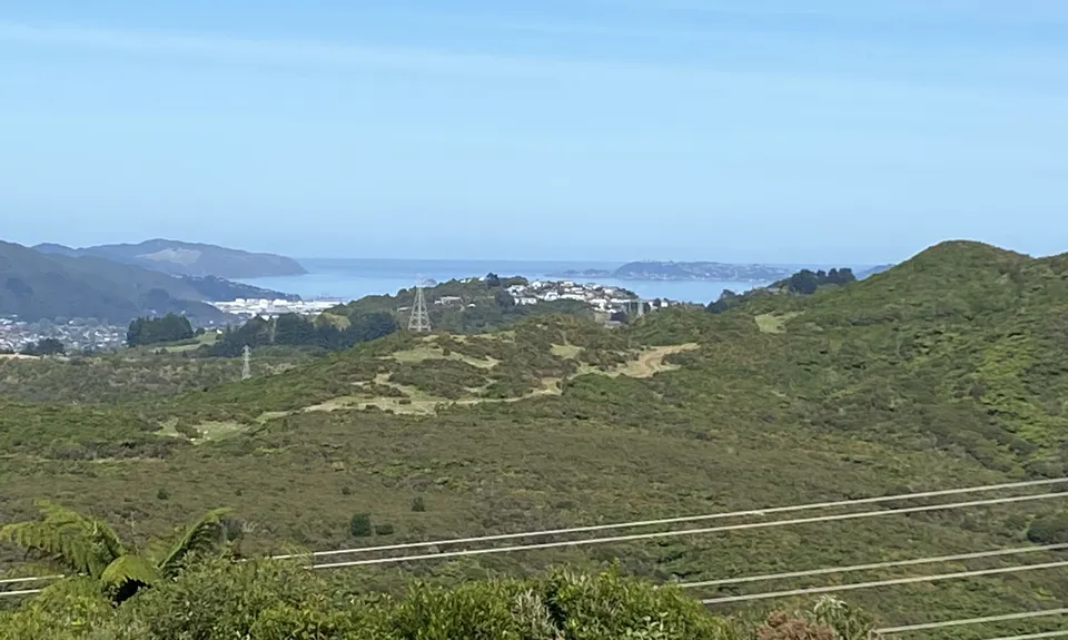 Dry Creek Loop, Wellington