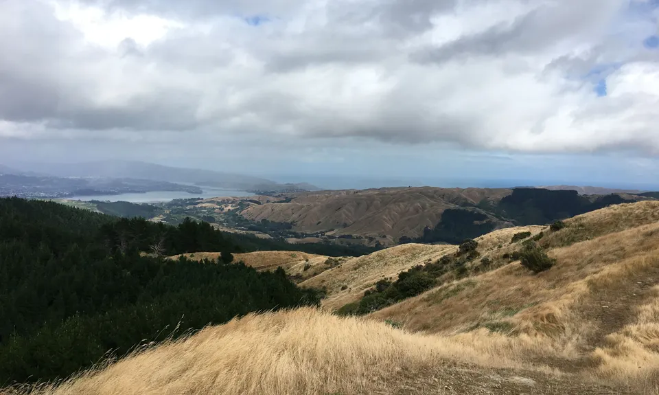 Battle Hill - Puketiro Loop, Wellington