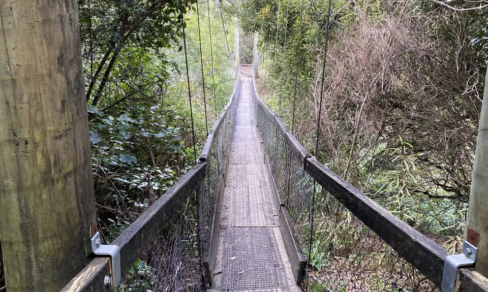 Birchville Dam Loop, Wellington
