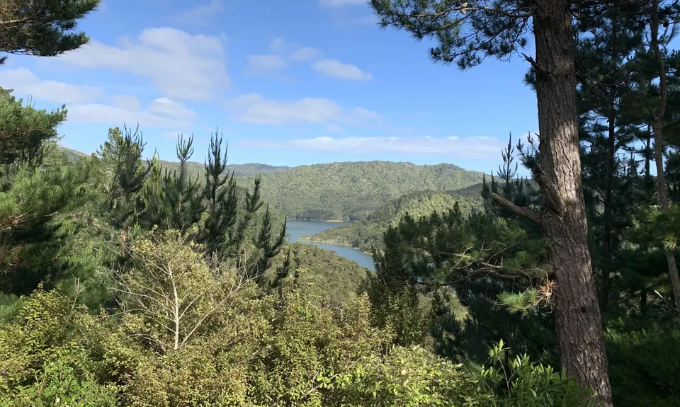 Hunua Magic, Auckland