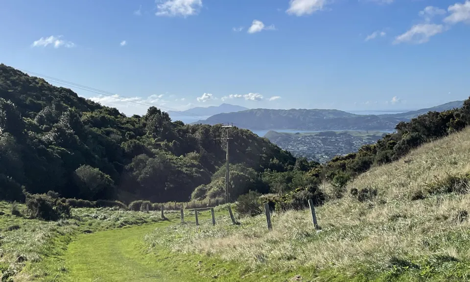 Colonial Knob - All the Hills, Wellington