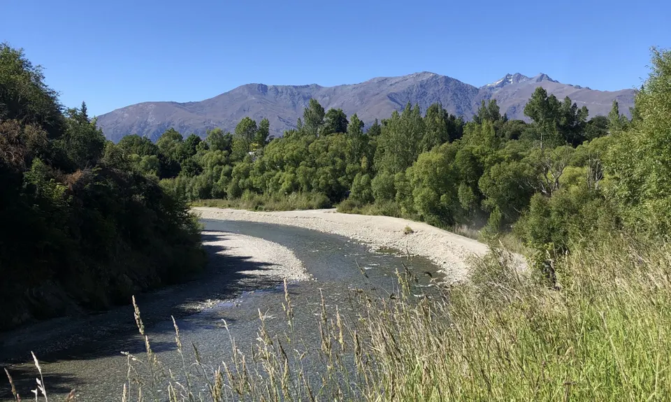 New Chums Loop, Otago