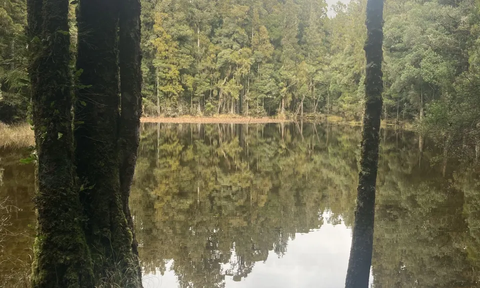 Waihora to Waihaha, Waikato