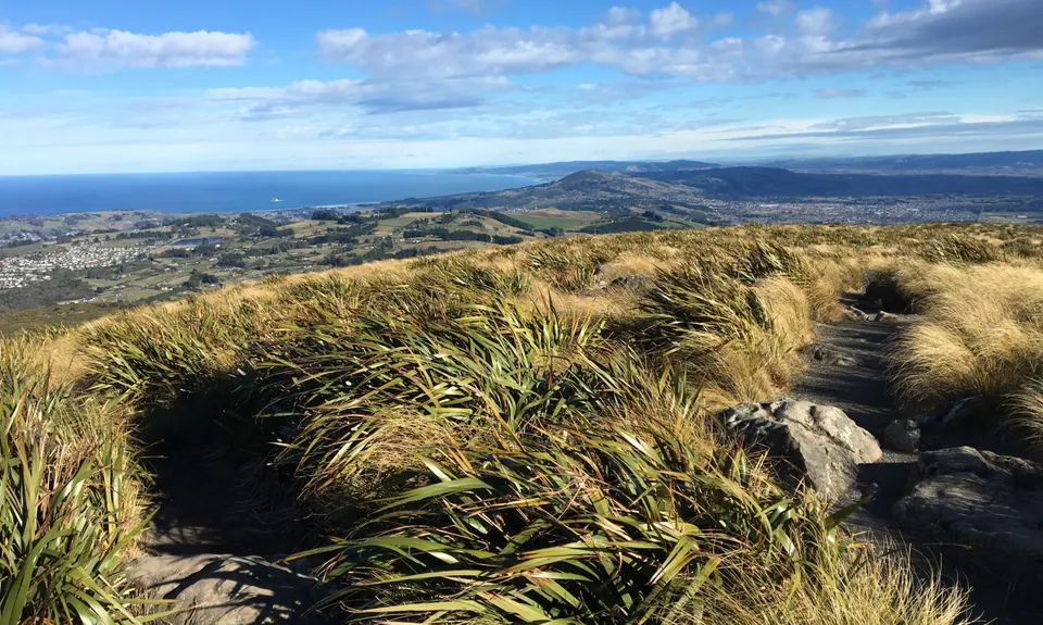 Flagstaff Swampy Circuit, Otago