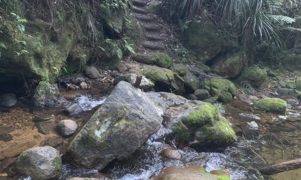 Karangahake Gold, Waikato