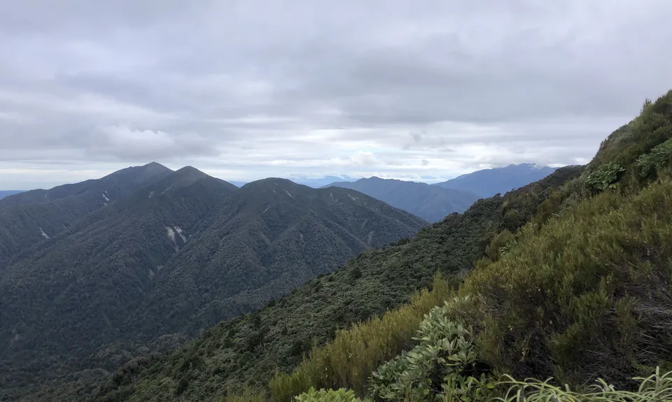 Mt Brown Hut, West Coast
