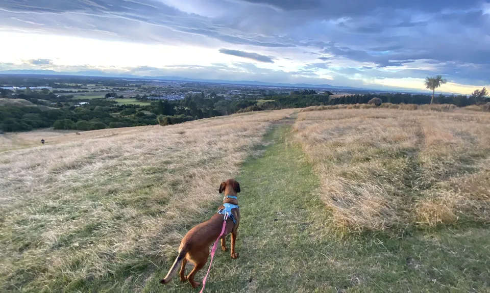Little Learner Loop (Halswell Quarry) , Canterbury