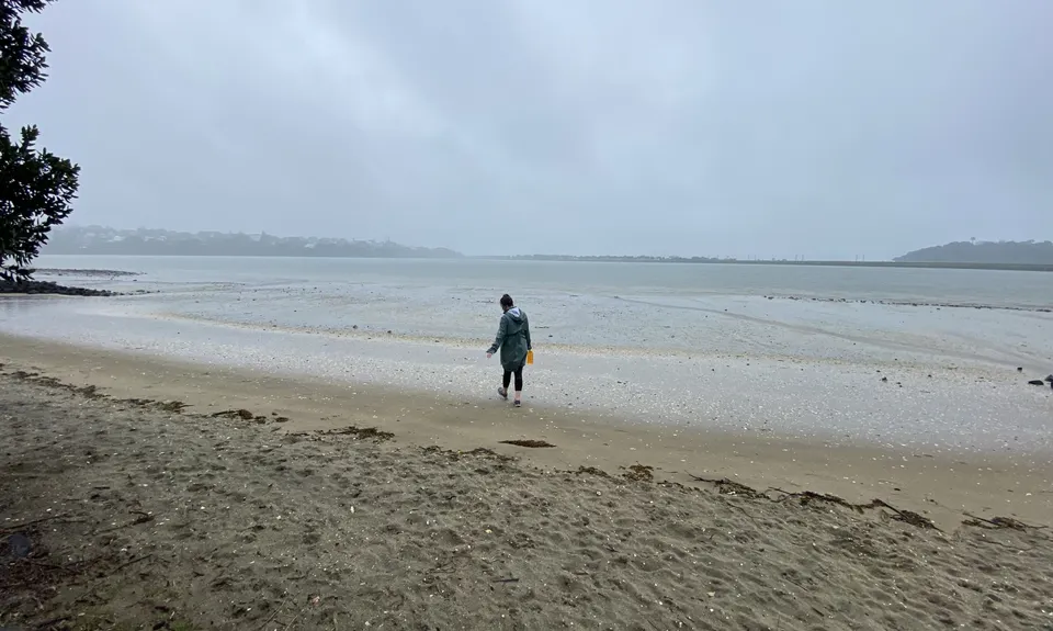 Hobson Bay Loopity, Auckland