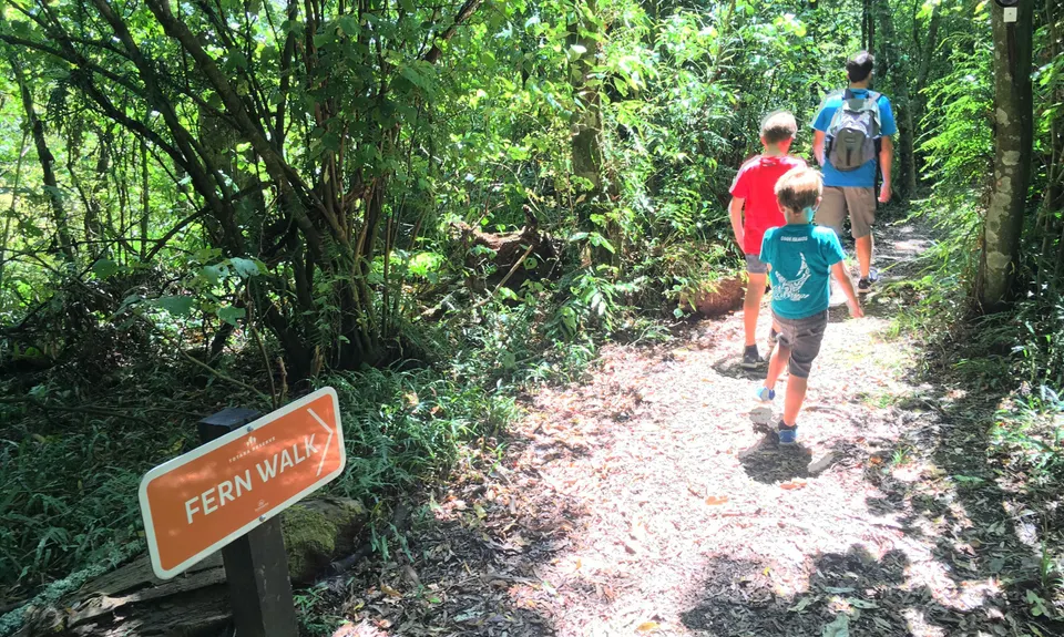 Fern Loop, Manawatu - Wanganui