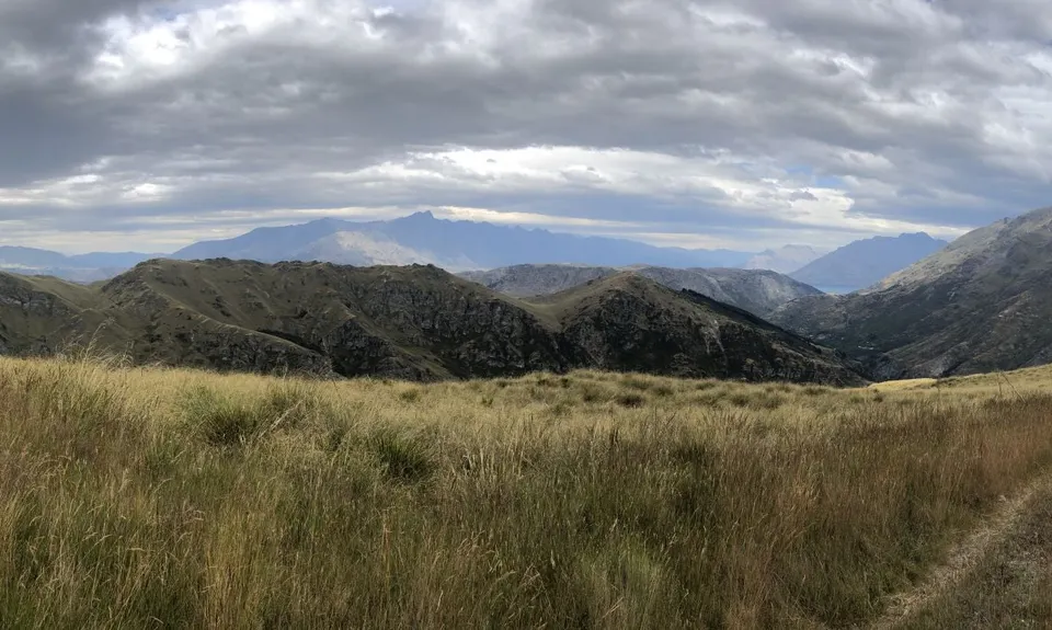 Mt Dewar Devil Creek Loop, Otago