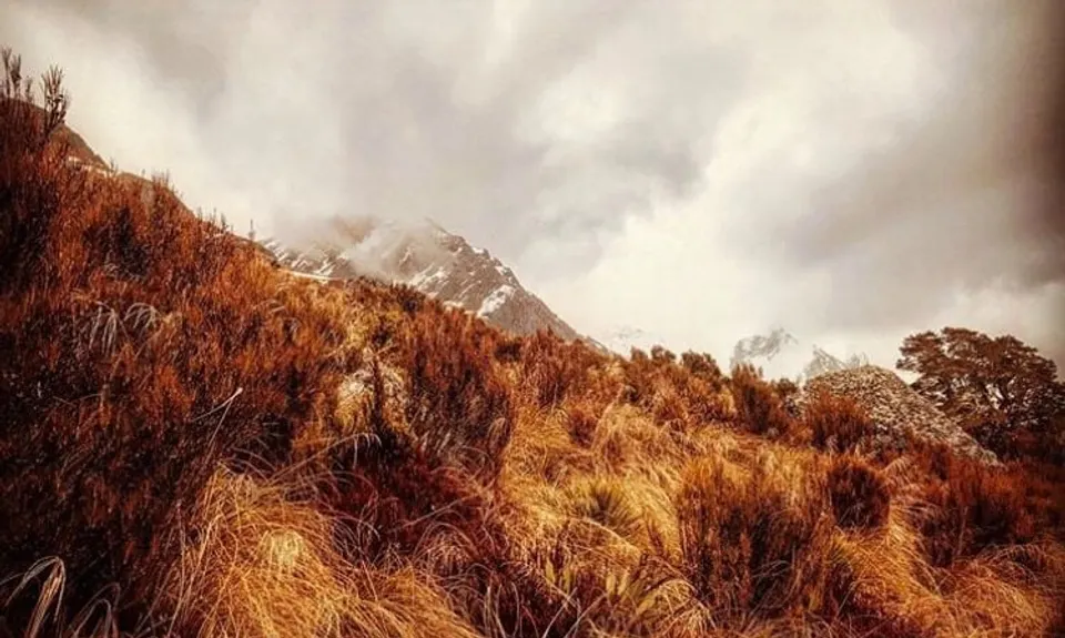 Sugarloaf Circuit, Otago