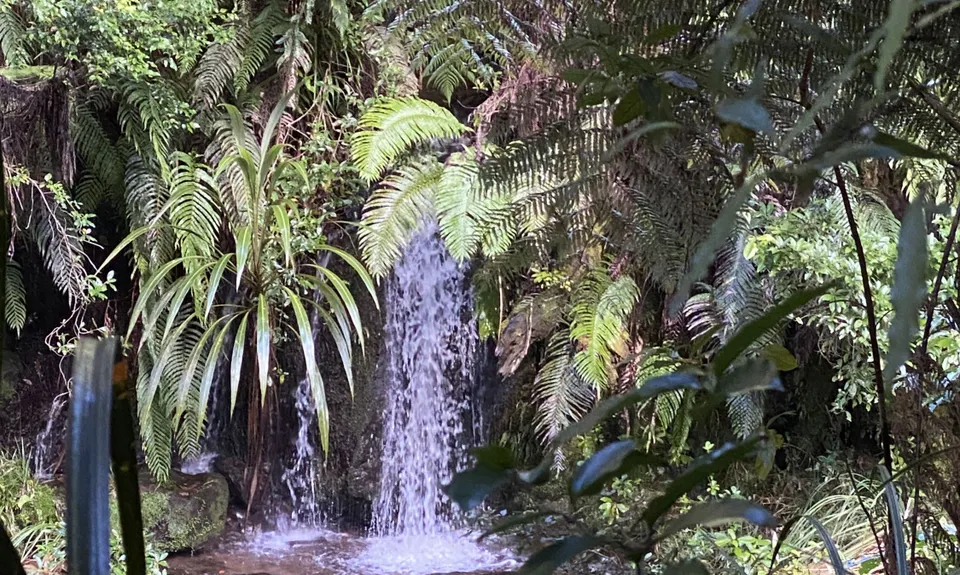 Ngamuwahine - Bobs Loop, Bay of Plenty