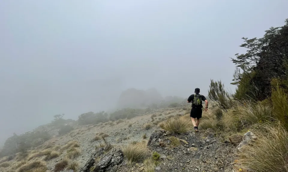 Pelorus Loop Track , Marlborough