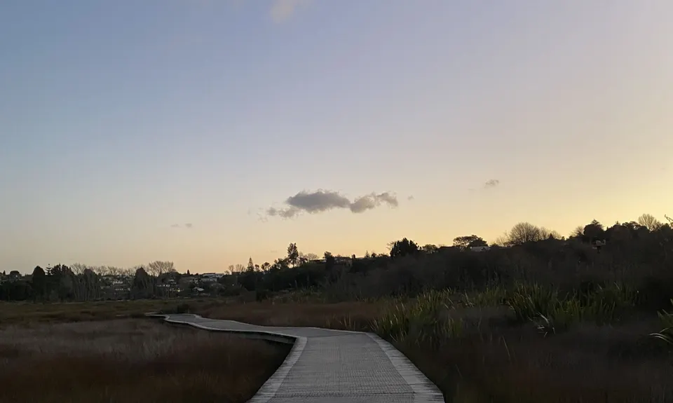 Daisy Hardwick Loop, Bay of Plenty