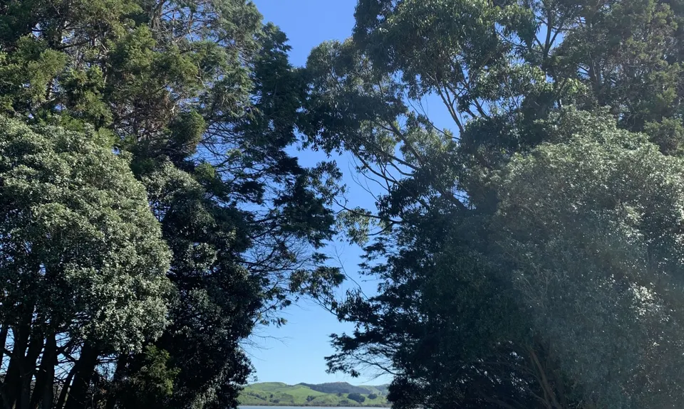 Atiu Creek Runabout., Auckland