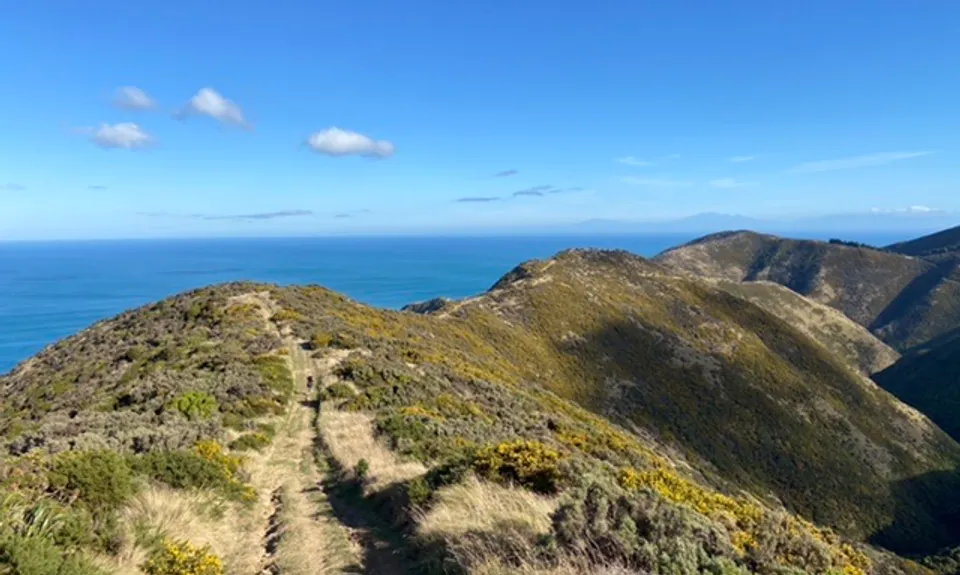 Red Rocks Loop, Wellington