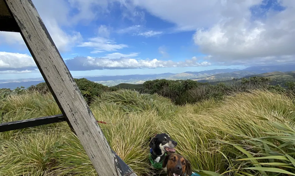 Arawaru Trig Loop, Manawatu - Wanganui