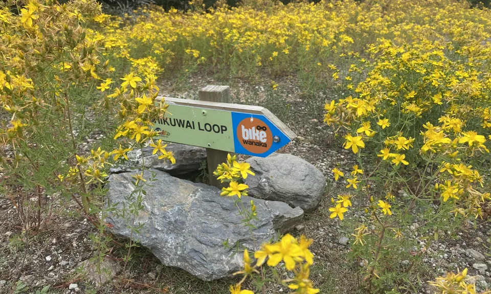 High on Hikuwai, Otago