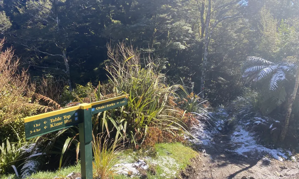 Field Hut Frolic, Wellington