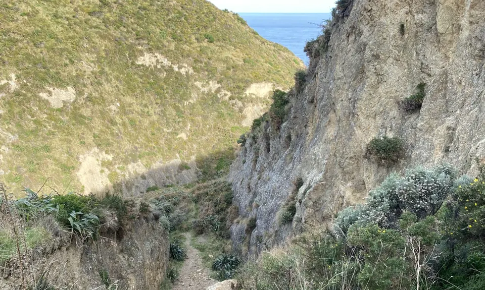 Spooky Gully and the Rocky Shore, Wellington