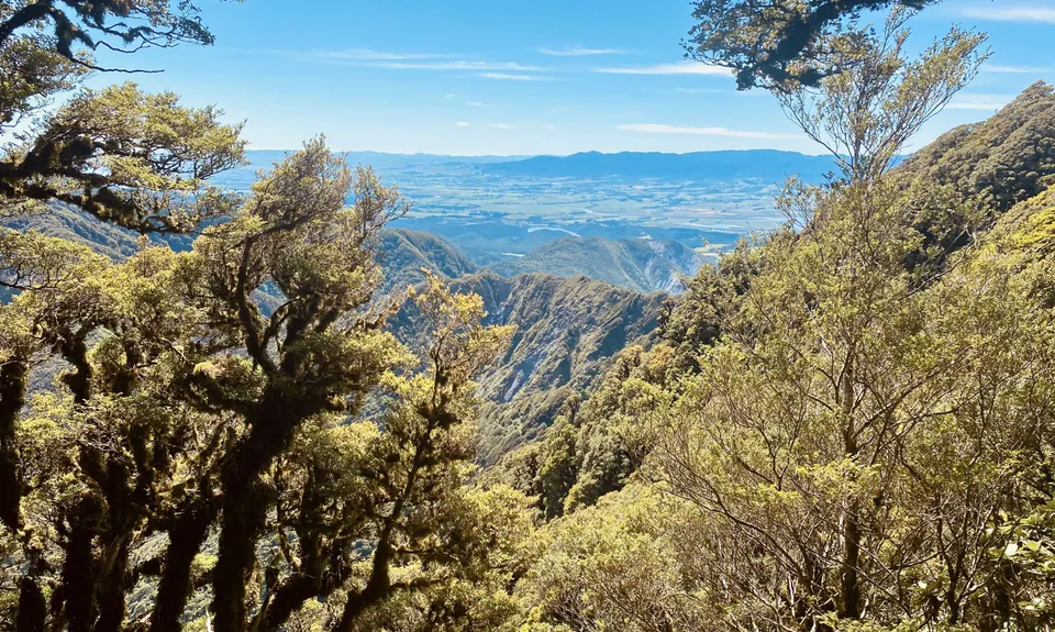 Mount Matthews