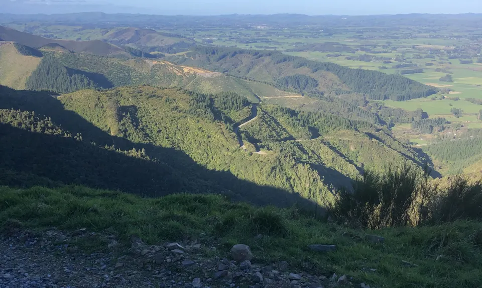 Mt Dick Loop, Wellington