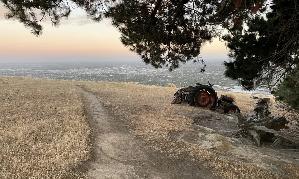 Montgomery Loop, Canterbury