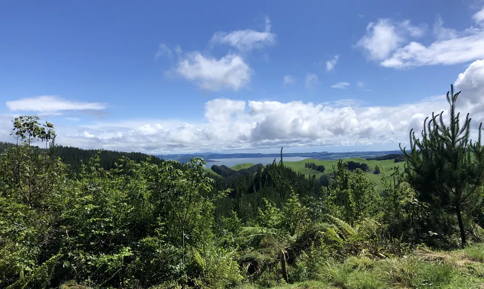 Fat Man's Run, Bay of Plenty