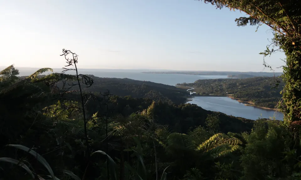 Slip Track from Titirangi, Auckland