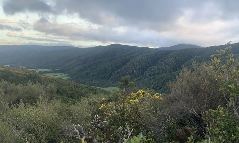 Dobson Loop, Wellington