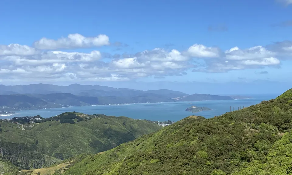 Caribbean Baked Beans , Wellington