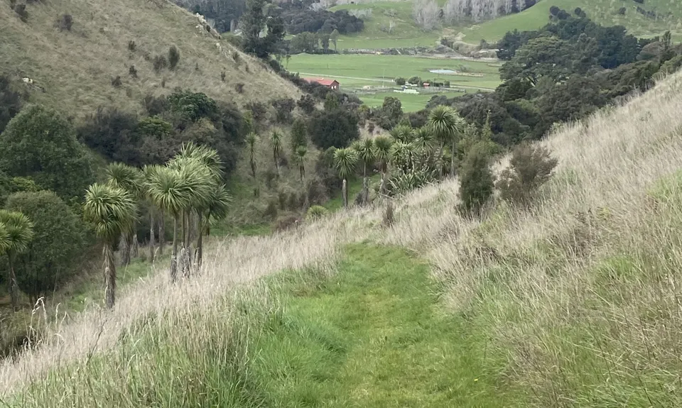 Mt Clyde, Manawatu - Wanganui