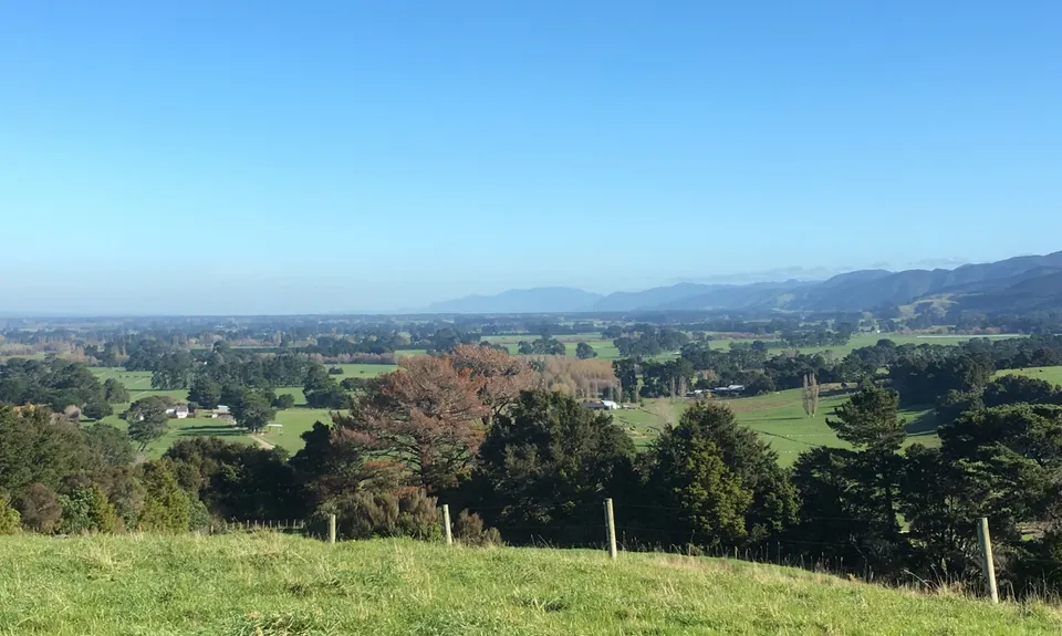 Fensham Reserve Loop, Wellington