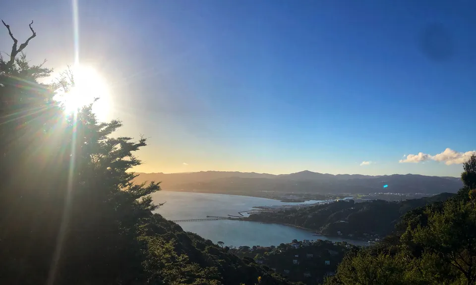 Mt Lowry, Wellington