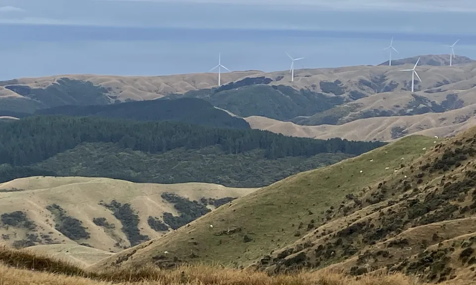 Skyline - Mt Kaukau, Wellington