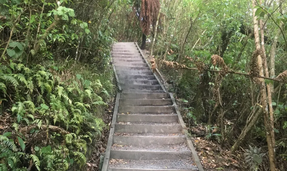 Mangemangeroa Track, Auckland