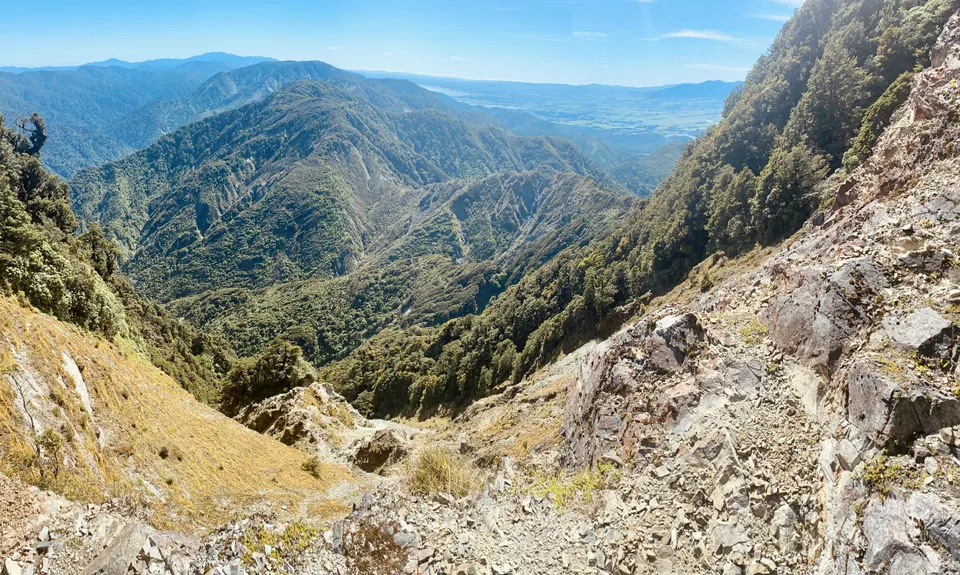 Mt Matthews, Wellington