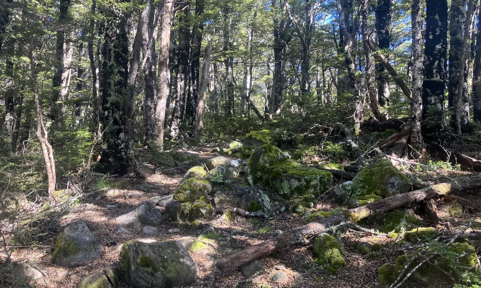 Mt Thomas via Ridge Track, Canterbury