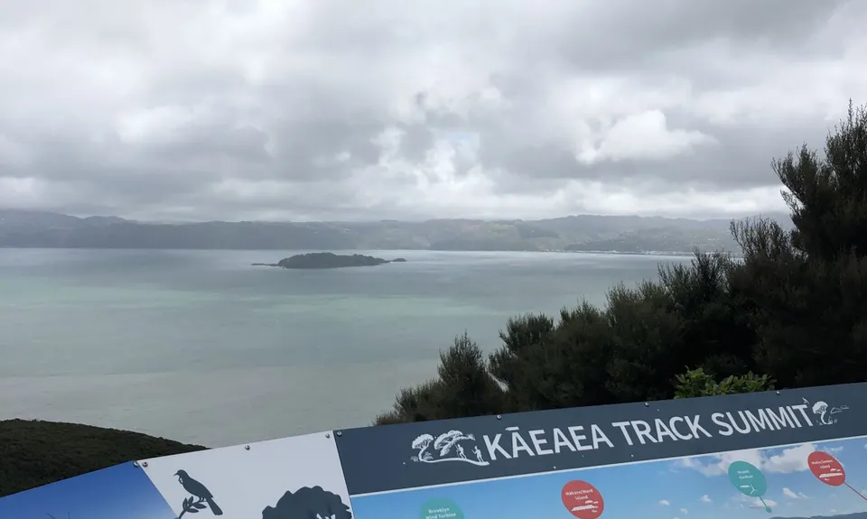 Eastbourne Ridge Loop, Wellington